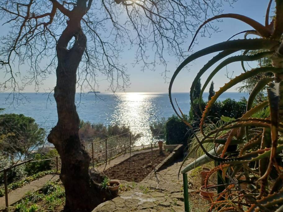 Brezza Marina - Appartamento In Villa Fronte Mare Триест Екстериор снимка
